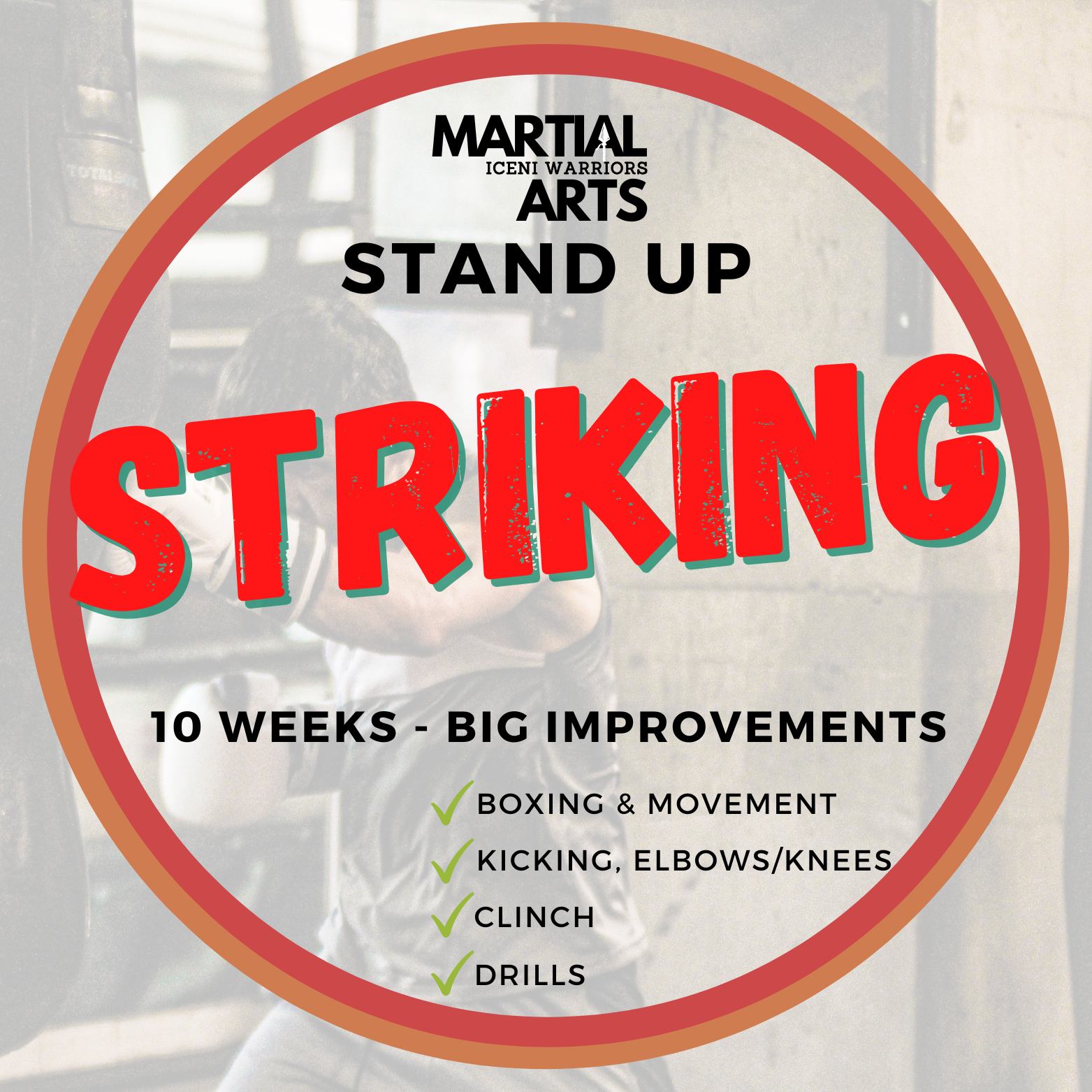 Strikewell Boxing Striking (Thai Boxing/Kickboxing or Boxing) Course – Iceni Warriors